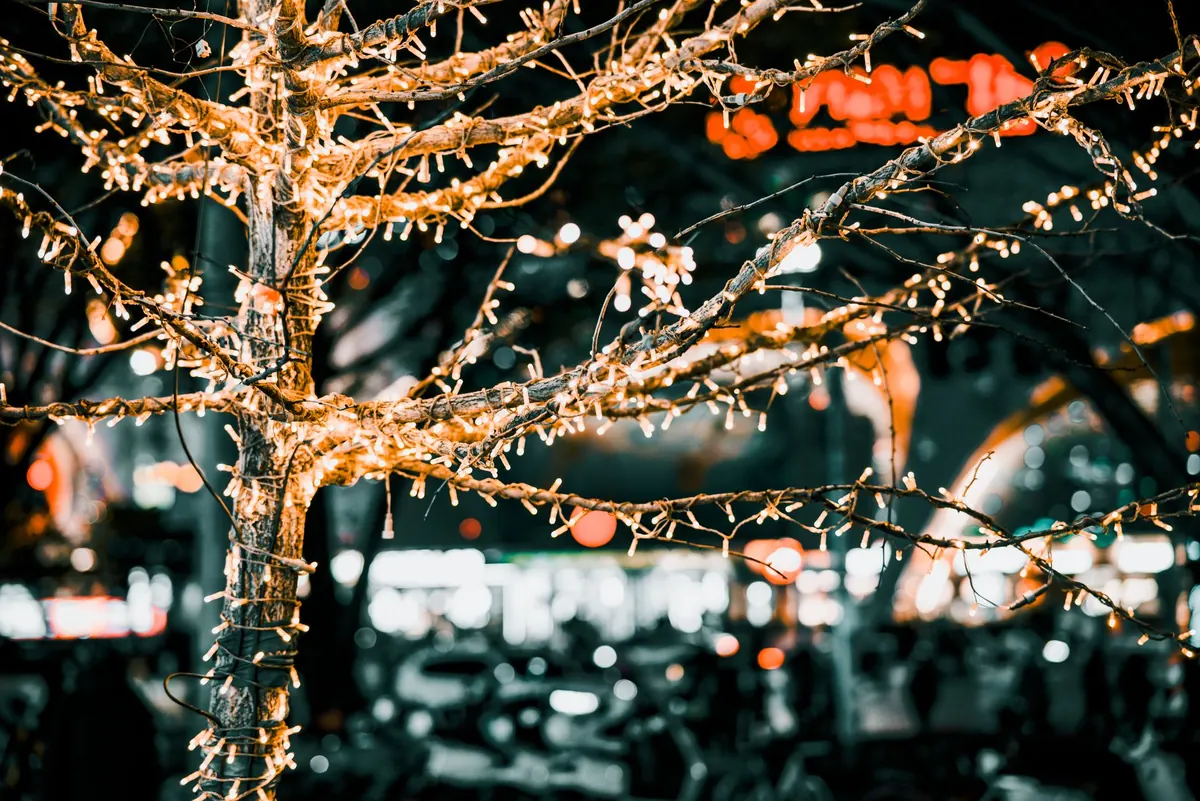 Dale Quarter in December: Lights, Late-Night Shopping and Winter Events